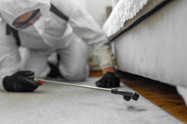Professional Termite Control technician working in Hunt County County, TX